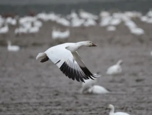 WordPress ile Sanal Mağaza Açarken Hızlı ve Kolay Entegrasyon Çözümleri