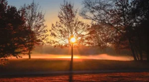Yeni Bir Dil Öğrenmeye Başlamak İçin Kullanılabilecek En Kolay ve Etkili Yöntemler