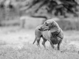 WordPress Sitenizi Hacklenmeye Karşı Daha Dayanıklı Hale Getirmenin Pratik Yolları