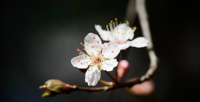 Güne Enerjik Başlamak İçin Sabah Rutinlerinde Uygulanabilecek Etkili Alışkanlıklar