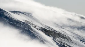 Popüler Kültür Trendleri ve İnsanların Sosyal Medyada En Çok Konuştukları Akımlar