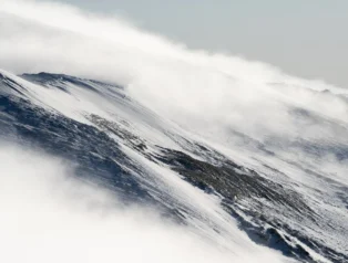 Popüler Kültür Trendleri ve İnsanların Sosyal Medyada En Çok Konuştukları Akımlar
