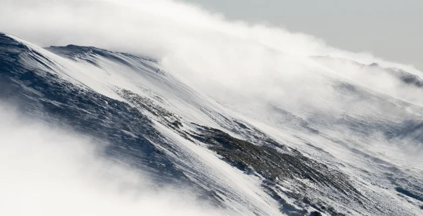 Popüler Kültür Trendleri ve İnsanların Sosyal Medyada En Çok Konuştukları Akımlar
