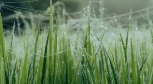 Müziğin Ruhsal Sağlık Üzerindeki Etkileri ve Mutlaka Dinlenmesi Gereken Albümler