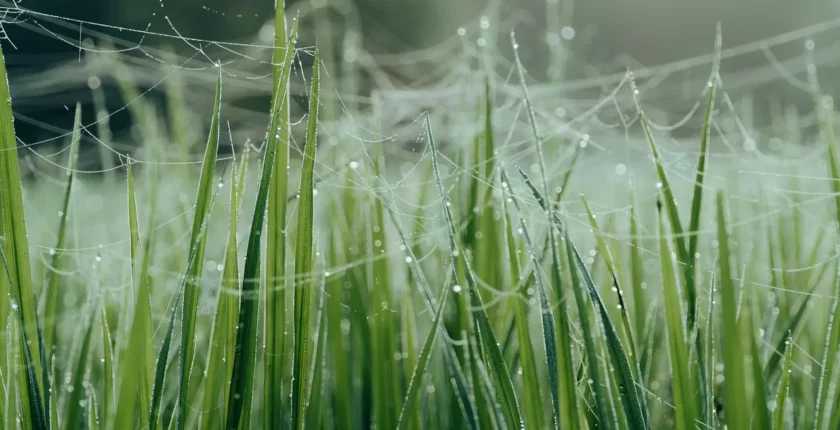 Müziğin Ruhsal Sağlık Üzerindeki Etkileri ve Mutlaka Dinlenmesi Gereken Albümler