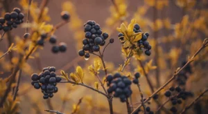 Son Dönemde Tüm Dünyada En Çok Konuşulan Diziler ve İzleyicilerden Gelen Yorumlar